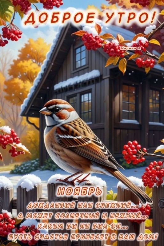 Красивые картинки Доброе утро ноября. Позитивные картинки Доброе утро ноября
