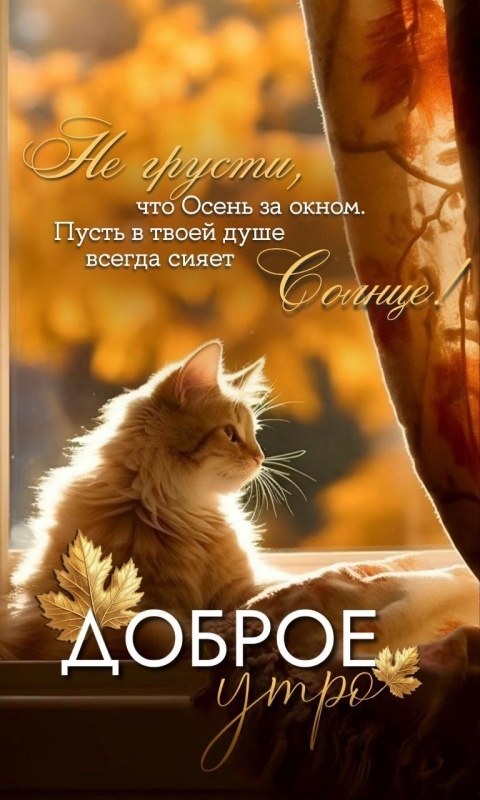 Осенние картинки Доброе утро. Красивые осенние картинки Доброе утро
