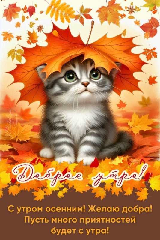 Картинки Доброе утро позитивные и новые. Позитивные и новые картинки с Добрым утром (осень)