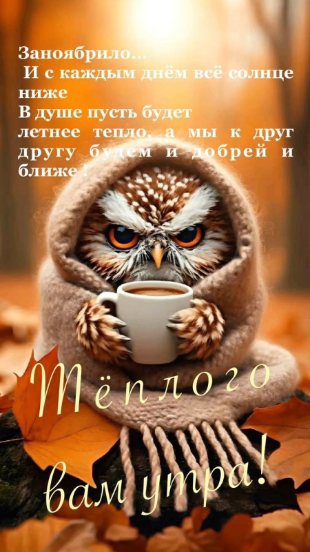 Осенние картинки Доброе утро. Позитивные осенние картинки Доброе утро