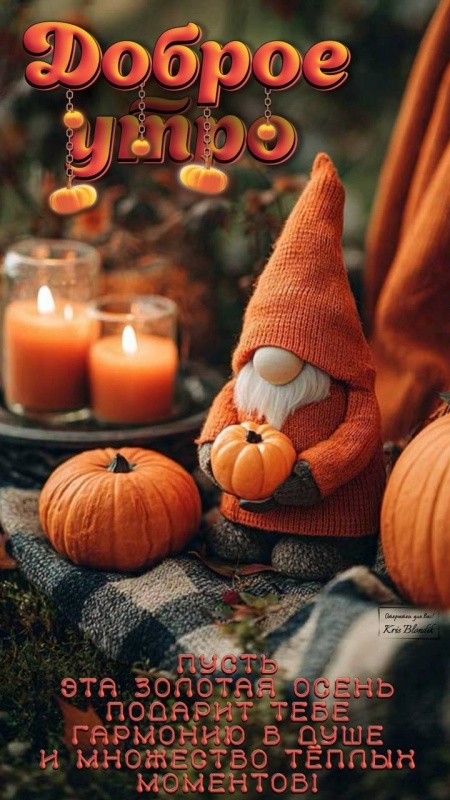Осенние картинки Доброе утро. Красивые осенние картинки Доброе утро