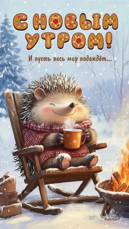 Картинки Доброе утро позитивные и новые. Позитивные картинки Доброе утро (зима)