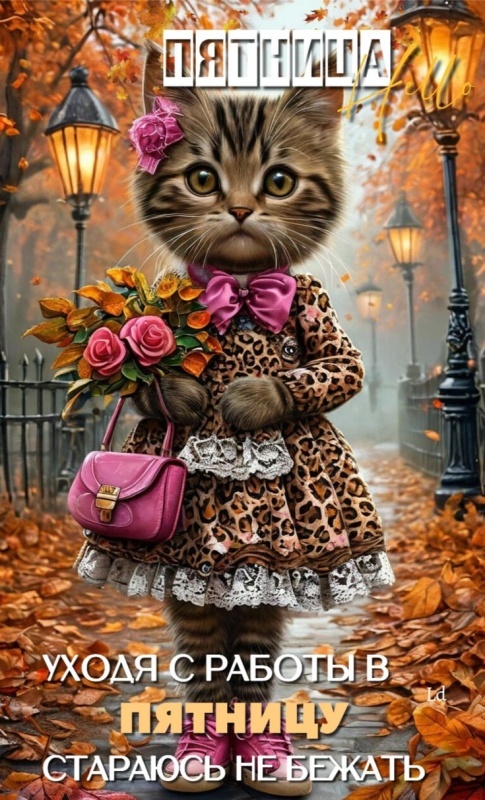 Картинки "Доброе утро пятницы" осенние. Красивые осенние картинки Доброе утро пятница