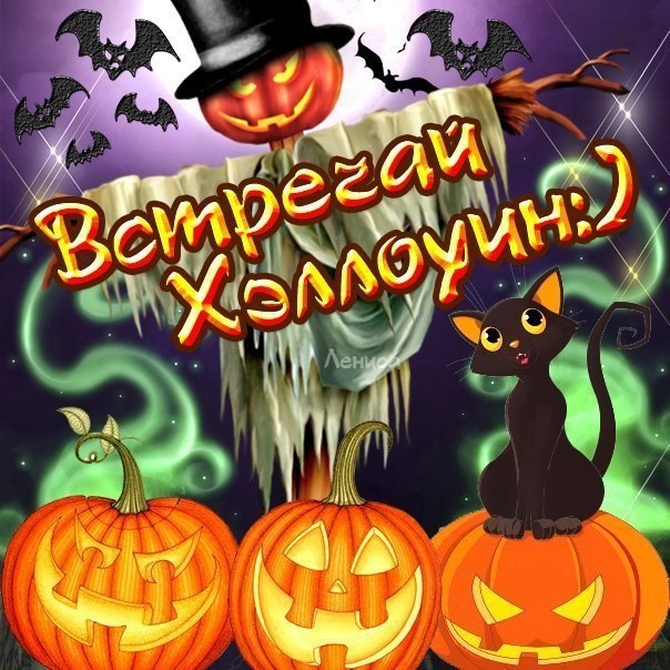 Картинки Хэллоуин (красивые, прикольные и страшные). Хэллоуин - прикольные картинки