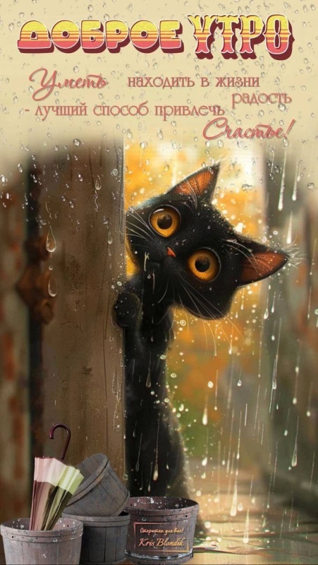 Картинки Доброе утро позитивные и новые. Картинки Доброе утро с позитивными пожеланиями
