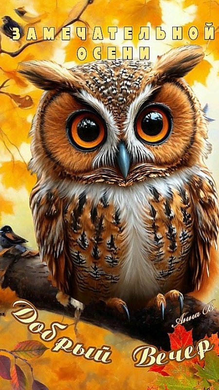 Красивые картинки "Добрый вечер" . Осенние картинки Добрый вечер