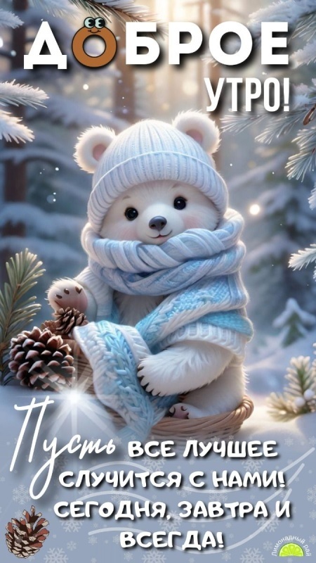 Картинки Доброе утро позитивные и новые. Позитивные картинки Доброе утро (зима)