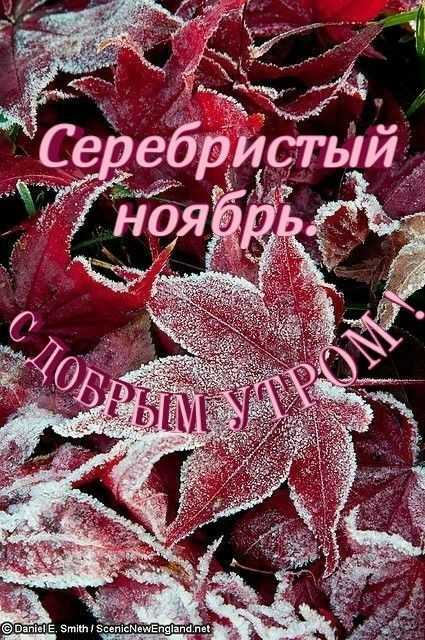 Красивые картинки Доброе утро ноября. Доброе утро ноября - картинки осенние