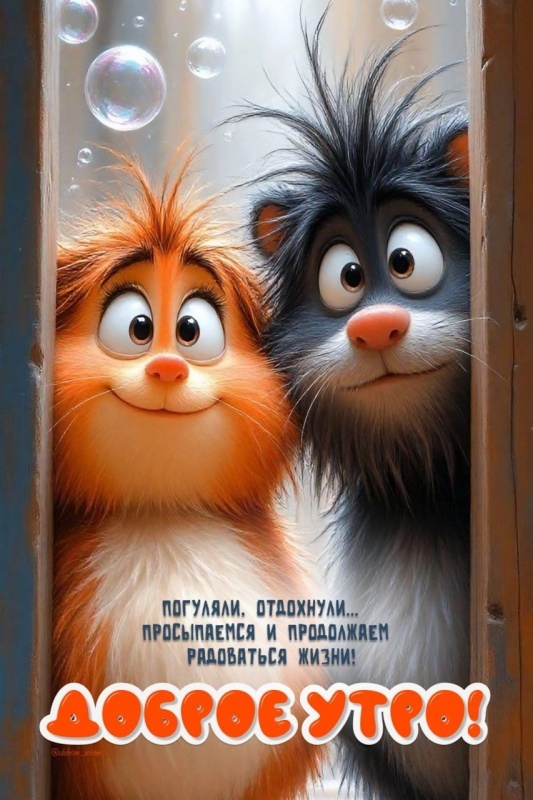 Прикольные картинки Доброе утро. Доброе утро - картинки прикольные и позитивные