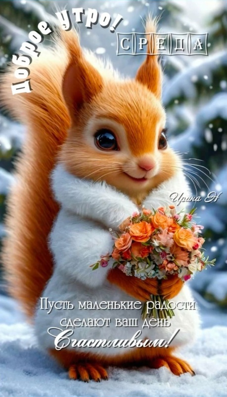 Красивые картинки Доброе утро среды. Прикольные картинки Доброе утро среды