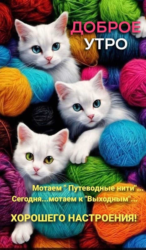 Прикольные картинки Доброе утро. Доброе утро - картинки прикольные и позитивные