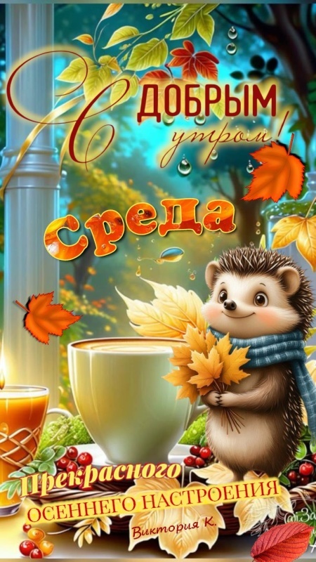 Осенние картинки Доброе утро среды. Осенние картинки с добрым утром среды