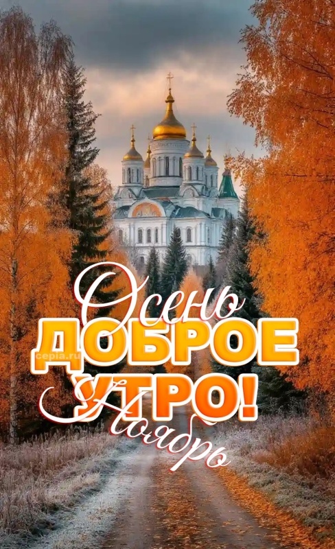 Красивые картинки Доброе утро ноября. Красивые картинки Доброе утро ноября