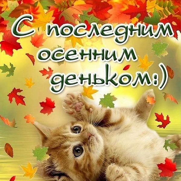 100 картинок с последним днём осени. Картинки «С последним днём осени» для друзей