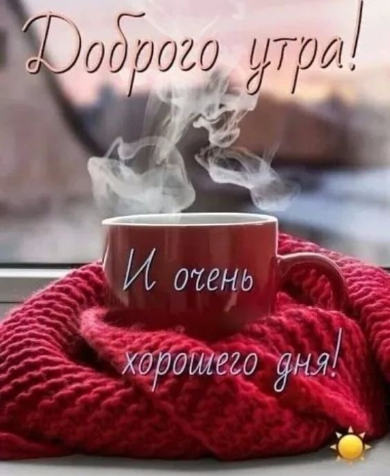 Прикольные картинки Доброе утро. Доброе утро - картинки прикольные и позитивные