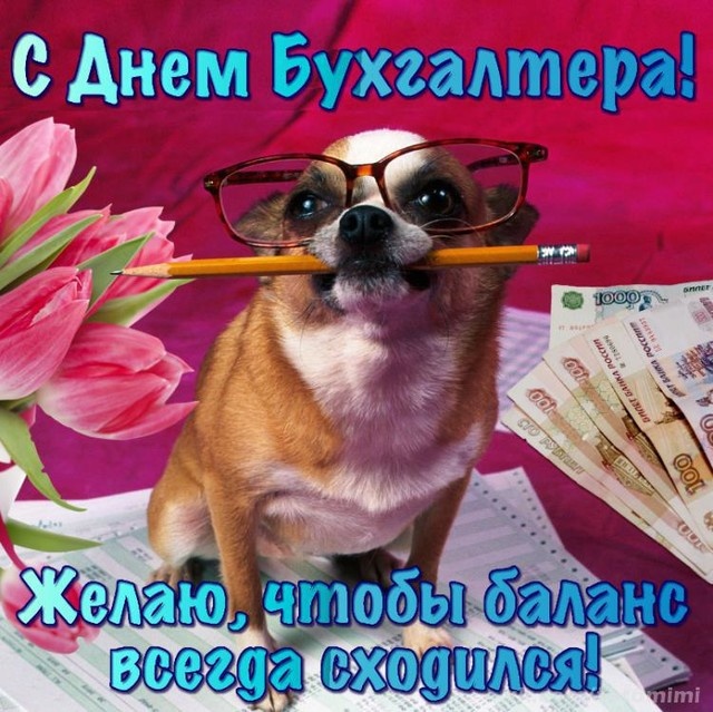 Картинки и открытки на день бухгалтера. Прикольные открытки с Днем бухгалтера