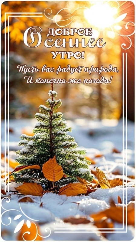 Красивые картинки Доброе утро ноября. Красивые картинки Доброе утро ноября