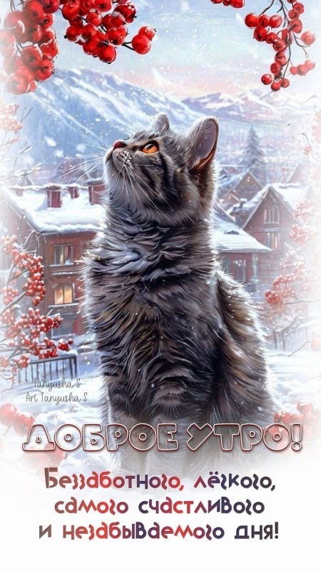 Красивые картинки Доброе утро ноября. Красивые картинки Доброе утро ноября