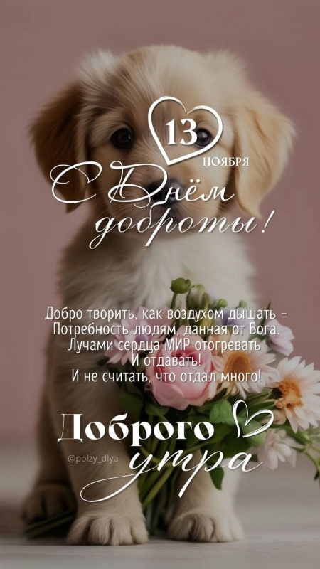 Картинки и открытки на Всемирный день доброты. С Днем доброты 2025 - открытки красивые и новые