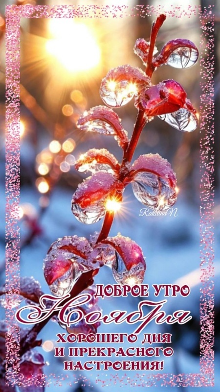 Красивые картинки Доброе утро ноября. Красивые картинки Доброе утро ноября