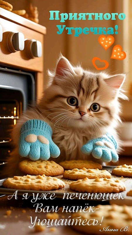 Прикольные картинки Доброе утро. Прикольные картинки с Добрум утром