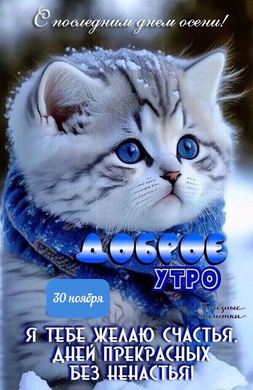 100 картинок с последним днём осени. Картинки с последним днем осени вертикальные