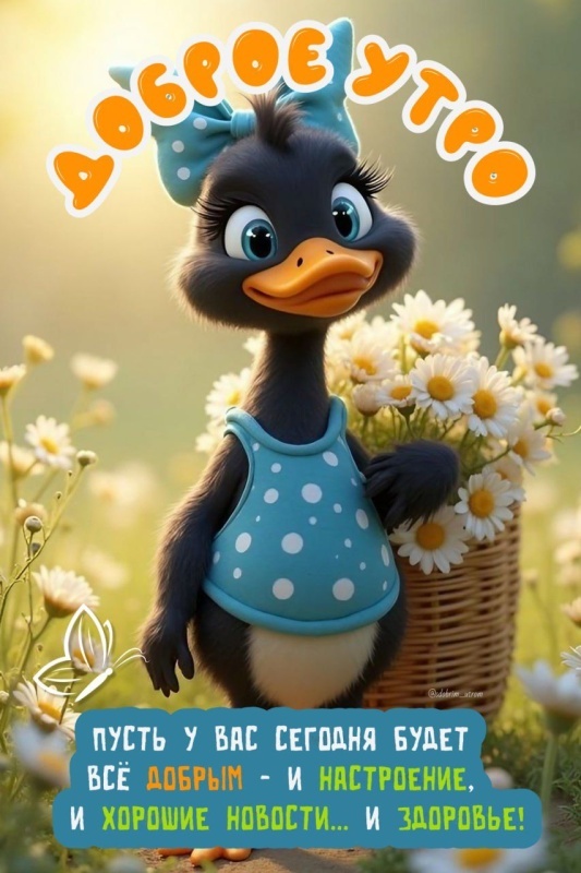Прикольные картинки Доброе утро. Доброе утро - картинки прикольные и позитивные