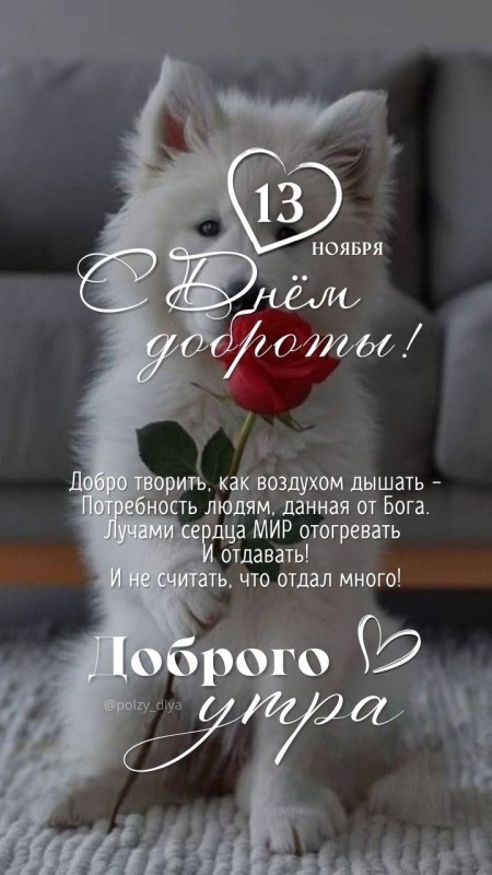 Картинки и открытки на Всемирный день доброты. С Днем доброты 2025 - открытки красивые и новые