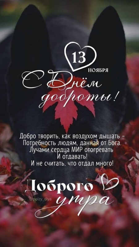Картинки и открытки на Всемирный день доброты. С Днем доброты 2025 - открытки красивые и новые