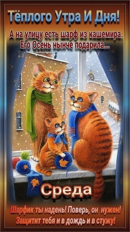 Красивые картинки Доброе утро среды. Прикольные картинки Доброе утро среды