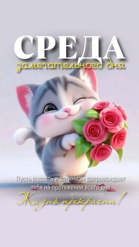 Красивые картинки Доброе утро среды. Прикольные картинки Доброе утро среды
