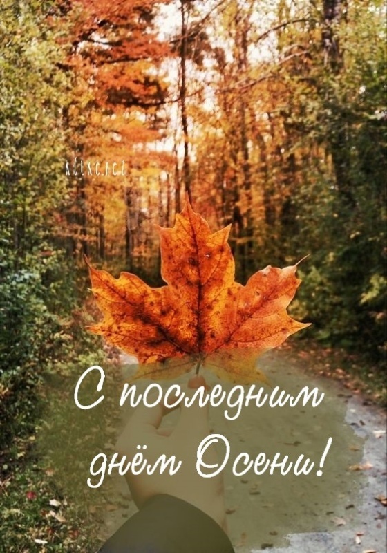 100 картинок с последним днём осени. Картинки с последним днем осени вертикальные