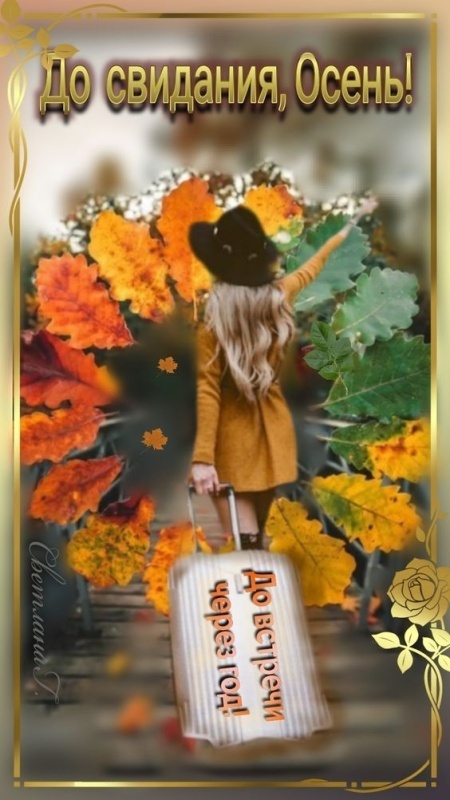 100 картинок с последним днём осени. Картинки с последним днем осени вертикальные