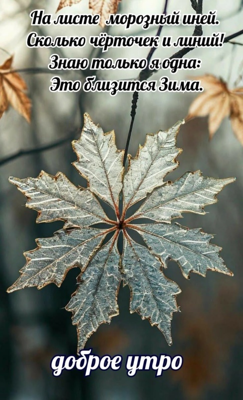 100 картинок с последним днём осени. Картинки с последним днем осени вертикальные