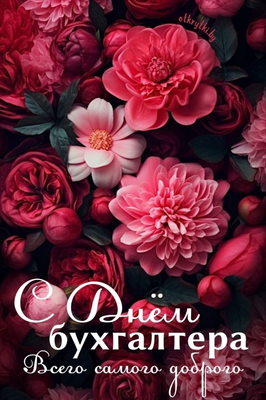 Картинки и открытки на день бухгалтера. С Днем бухгалтера - открытки с поздравлениями бухгалтеру