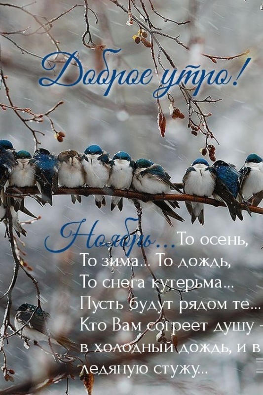 Красивые картинки Доброе утро ноября. Красивые картинки Доброе утро ноября