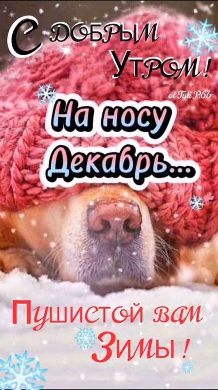 100 картинок с последним днём осени. Картинки "С добрым утром, последний день осени"