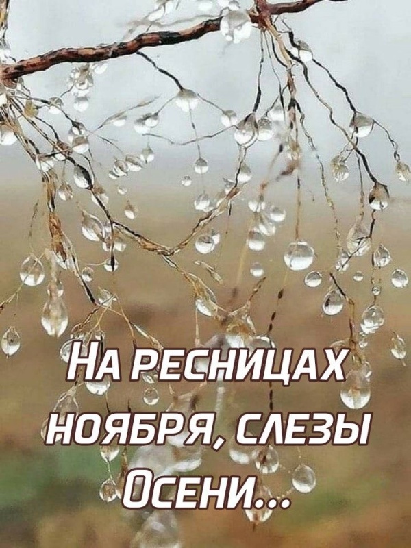 100 картинок с последним днём осени. Картинки с последним днем осени вертикальные