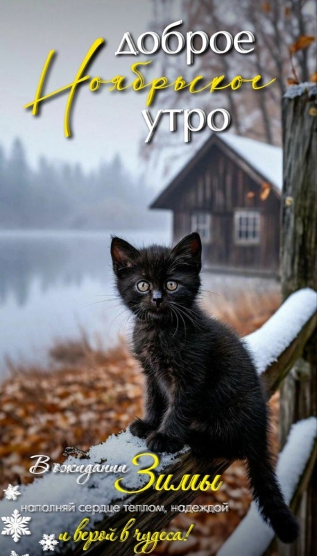 100 картинок с последним днём осени. Картинки "С добрым утром, последний день осени"