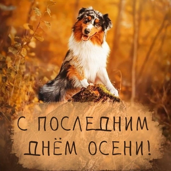 100 картинок с последним днём осени. Картинки «С последним днём осени» для друзей