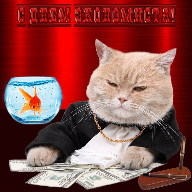 Картинки и открытки с Днем экономиста в России. Красивые картинки с Днем экономиста