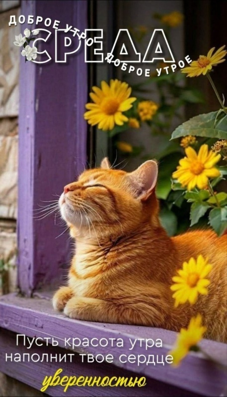 Красивые картинки Доброе утро среды. 
