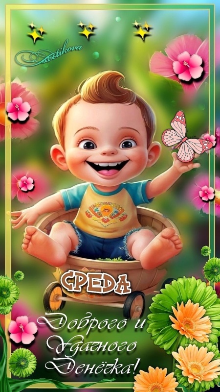 Красивые картинки Доброе утро среды. Прикольные картинки Доброе утро среды