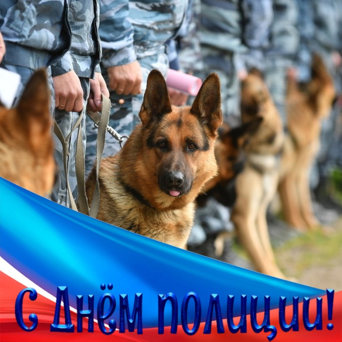 Открытки на День полиции 2025. Красивые открытки с Днем полции 2025