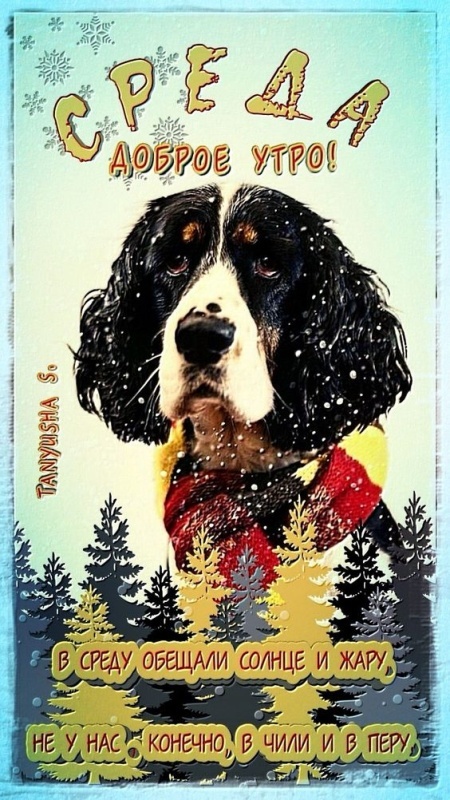 Красивые картинки Доброе утро среды. Прикольные картинки Доброе утро среды
