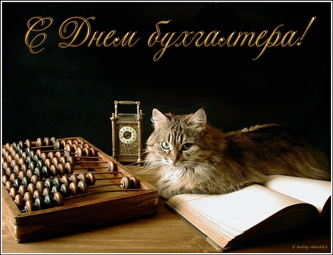 Картинки и открытки на день бухгалтера. Прикольные открытки с Днем бухгалтера