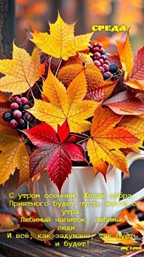 Осенние картинки Доброе утро среды. Осенние картинки с добрым утром среды