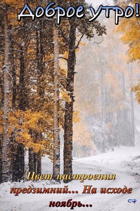 100 картинок с последним днём осени. Картинки "С добрым утром, последний день осени"