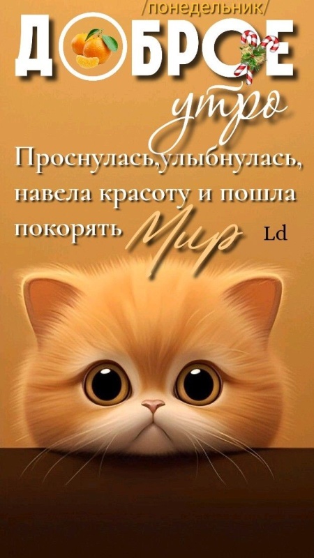 Прикольные картинки Доброе утро. Прикольные картинки с Добрум утром