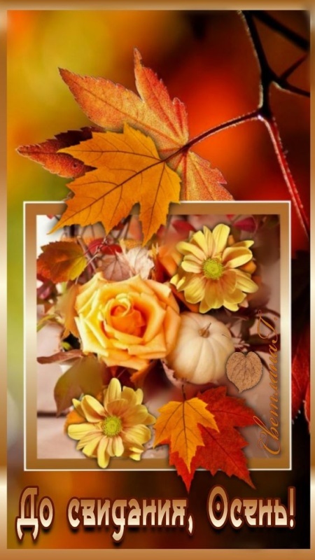 100 картинок с последним днём осени. Картинки с последним днем осени вертикальные